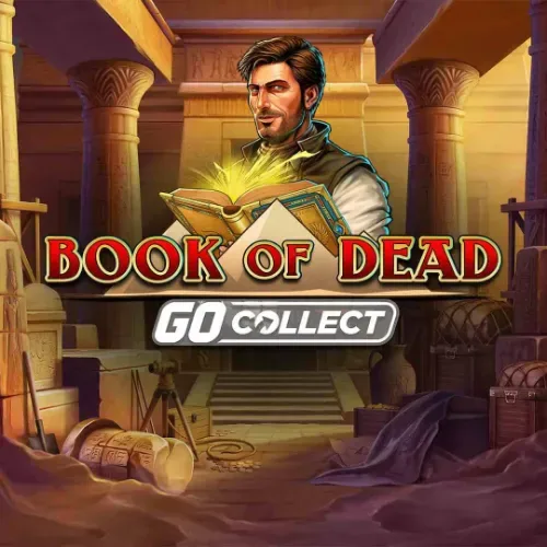Book of Dead (Play'n GO) logo