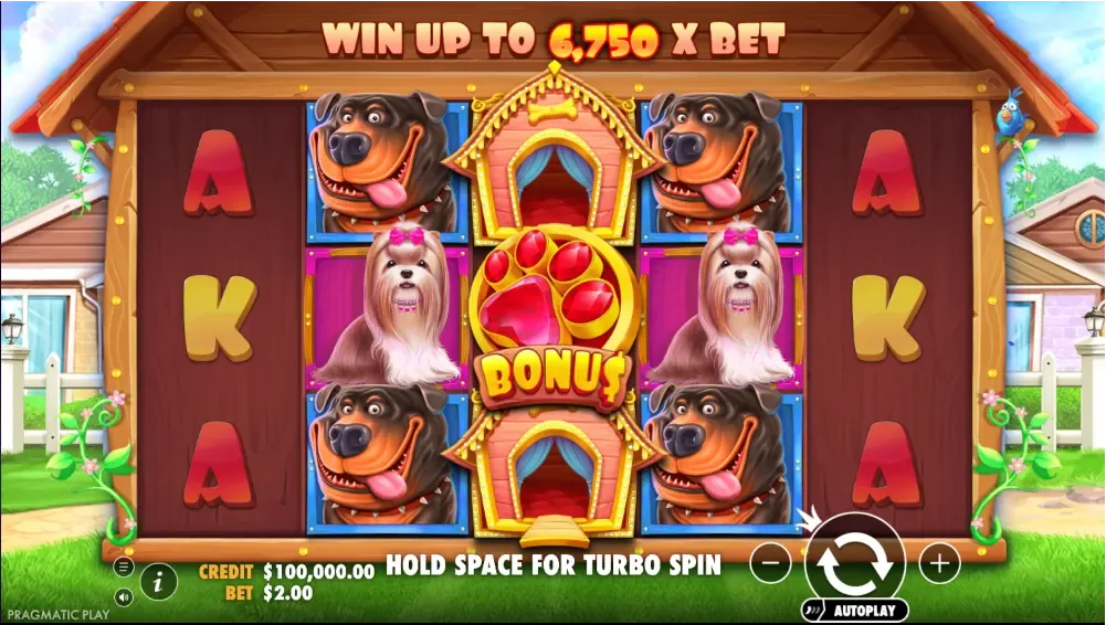 The Dog House, siatka 5x3, sticky wildy na bebnach